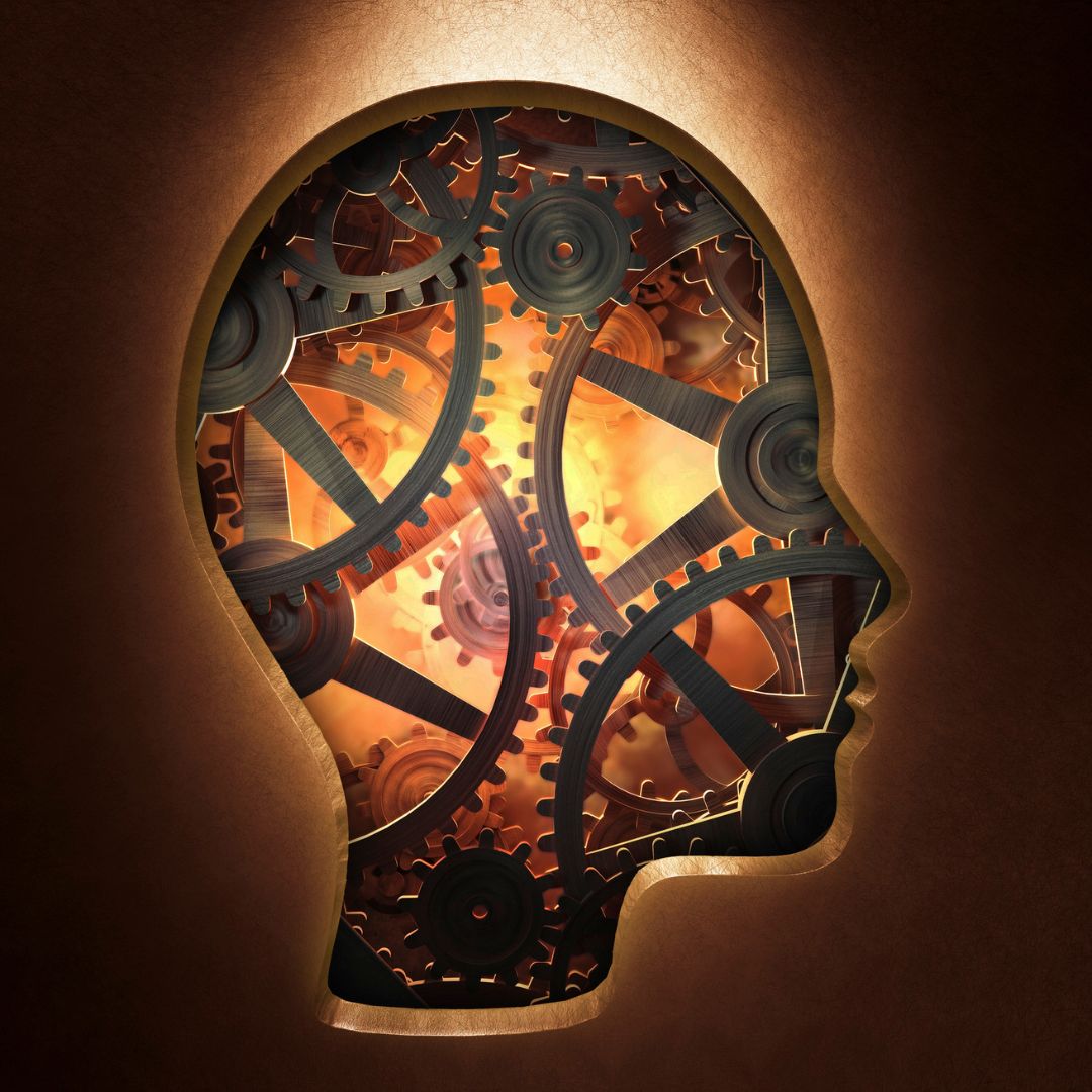 Cognitive Function